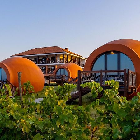 Hotel Qvevrebi Телави Экстерьер фото