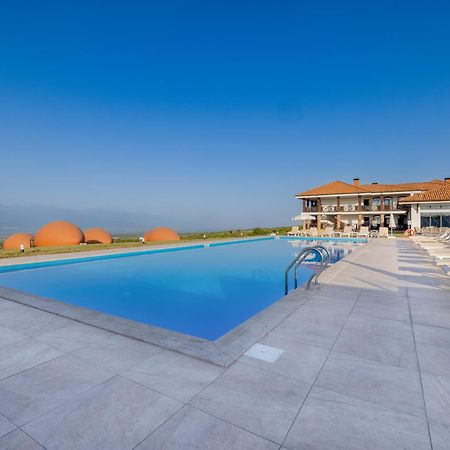 Hotel Qvevrebi Телави Экстерьер фото